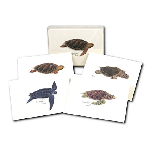 Earth Sky + Water - Sea Turtle Assortment Notecard Set - 8 Blank Cards With Envelopes (2 Each Of 4 Styles) #TOP5