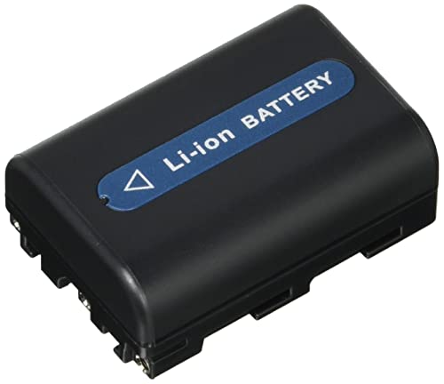 ソニー　DSC-R1　追加バッテリー１個付 31hP0G9G8jL.jpg