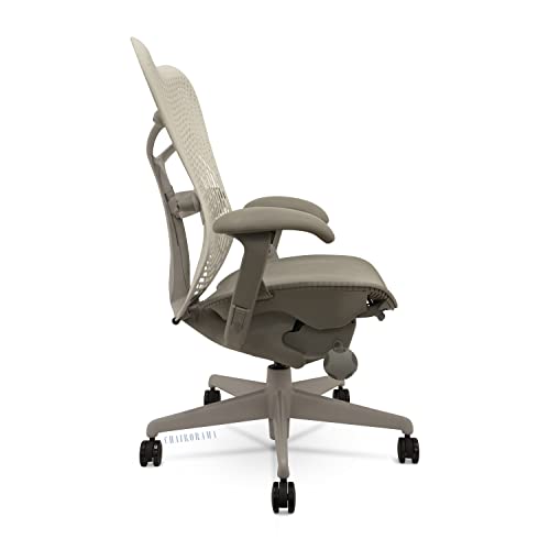 Herman Miller Embody Logitech chair