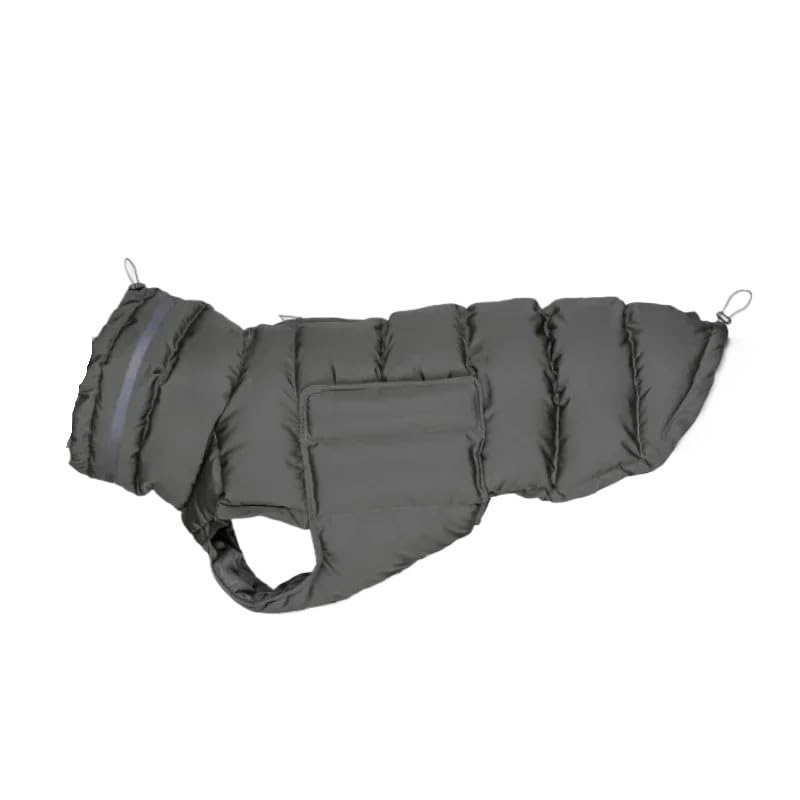 Manteau d'hiver pour chien et chat : la veste polaire des balades sous la pluie