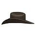 Stetson Oak Ridge, Color: Chocola, Size: 7 1/2 (SWOAKR-72402274) Brown