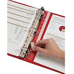 Cardinal HOLDit! Ring Binder Insert Strips, 10-7/8" x 1", Clear, 25/Bag (21110)