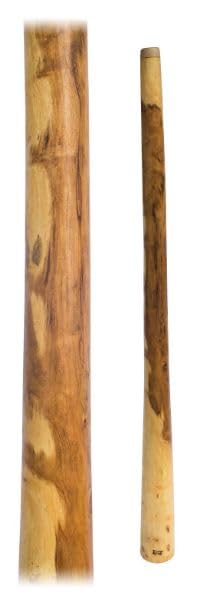 Didgeridoo Eucalyptus standard Natura circa 126 – 140 cm leinoel Percussion spaerisch meditativ Australia mondo musica
