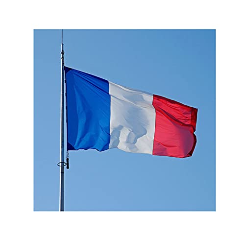 Drapeaux - Drapeau de la France avec 2 Oeillets Métalliques, Résistants aux Intempéries - Drapeau National Français 90 x 150 cm, Drapeau français pour Extérieur/Jardin/Festival Cover