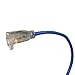 US Wire 99025 12/3 25-Foot SJEOW TPE Cold Weather Extension Cord Blue with Lighted Plug