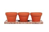 Grow Kit | Grow GMO Free Garden from Seed