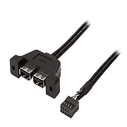 ASRock Deskmini - Cable USB 2.0 (2 unidades) Cover