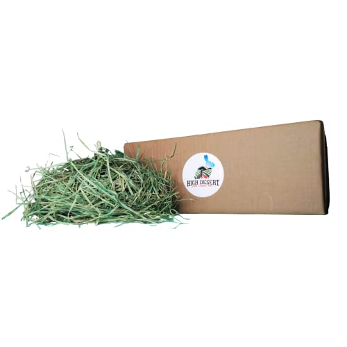 High Desert Orchard Grass Hay for Guinea Pigs, Rabbits, and More Small Animal Pets (OH-MD)