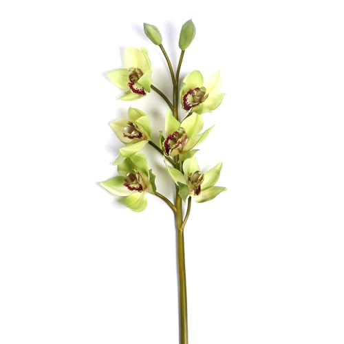 Image of PURE HOME + LIVING Green Faux Boat Orchid Spray Blossom Artificial Orchid Flowers with Pot for The Home, Garden, Office Artificial Blossom Flowers(Height-76cm) Pack of 1