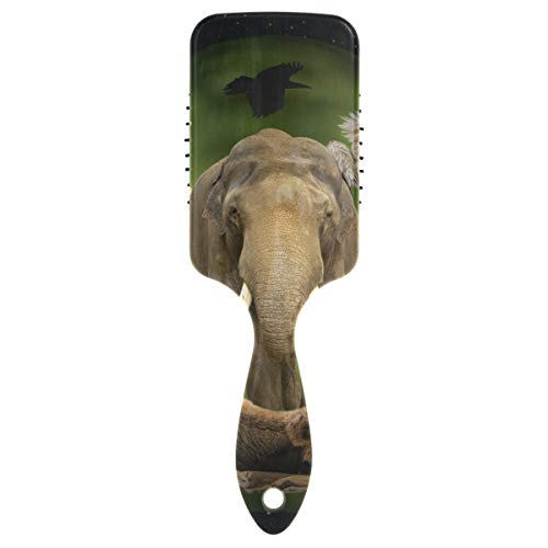 FANTAZIO Animal Planet - Cepillo de pelo para mujer, hombre, niños, dañado, rizado, ondulado, fino, para masaje, puntos de acupuntura cerebral