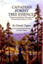 Paperback Canadian Forest Tree Essences - Vibrational Healing Through the Natural Resonance of Trees Book