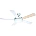 Wonderlamp Conte Ventilateur de plafond avec lumière E27, 15 W, blanc, 132 x 132 x 34,2 cm