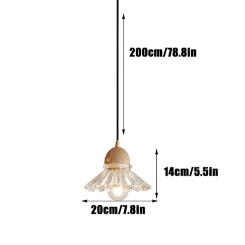 Luz de techo con sombrilla transparente que elimina sombras 2