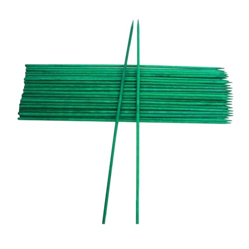 40 K[fjO|̃XeBbN t[XeXe[N |̌s̓Xe[NXT|[g܂ Ȓ|̐A̍Y A̒|̌s̃T|[g A̐A̓eXeBbN Green -