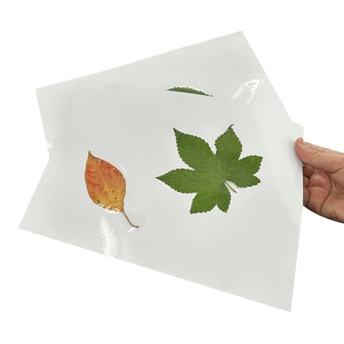 25 Stück Kaltlaminierfolie,A4-Laminierfolien Selbstklebend,Kalt Laminierfolien,Wasserdichte, Für Botanische Exemplare, Fotos, Dokumente, Karten