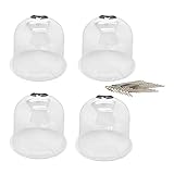 UPKOCH 4 Stücke Anzuchtglocke Pflanzglocke mit 12 Nägeln Pflanzen Frostschutzhaube Gewächshaus Haube Garten Cloche Dome Glocke Pflanzenschutz vor Frost Hagel Sonne Schnecken Vögel