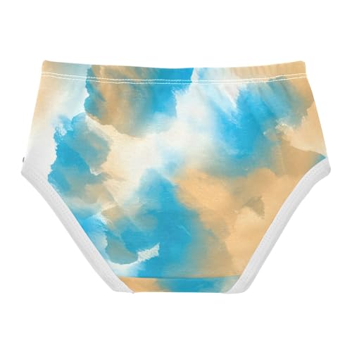 Fancy Toddler Underwear Floral 2t Cotton Little Girl Panties Abstract Brush Strokes Blue Kids Undies Briefs2