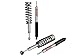 Eibach Pro-Truck Lift System Stage 1 E80-35-034-01-22
