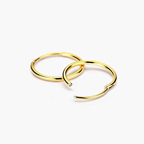 Image of 316L Surgical Steel Endless Hoop Earrings with 16g Tube for Women Silver /Gold /Rose Gold /Black 8mm /10mm /12mm