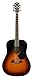 ALVAREZ 310222 RD26SB Dreadnought Gitarre
