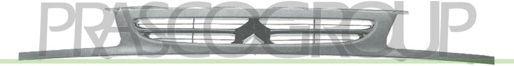 CI0222021 Radiator Grille