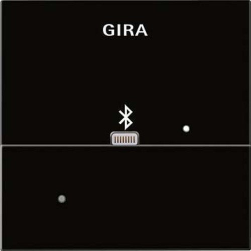 Preisvergleich Produktbild Gira 228705 Black Socket-Outlet Socket-outlets