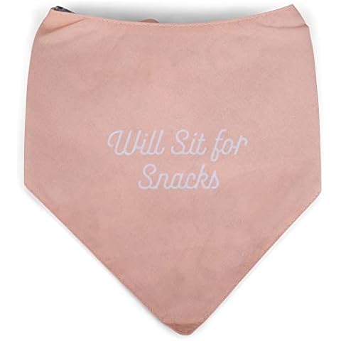 Mary Square Will Sit for Snacks Pink 10 x 6.75 All Cotton Reversible Pet Bandana Cover