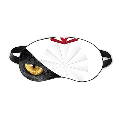 ̒ۓIȐ܂莆̃NX}XfR[V xݖڂ̎Ռe