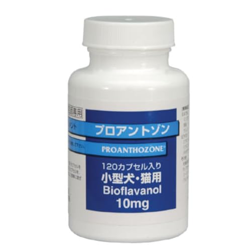  vAg] ̑ }`J[  120 (x 1)