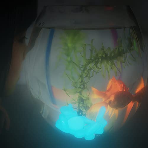 Wenerjie Glow In The Dark Rocks, 500Pcs Fairy Garden Decorations Stones, Outdoor Decor For Patio Stepping Stone Kit, Pebbles For Plants/Yard/Backyard/Fish Tank/Pool Stuff (Blue/500Pcs) #TOP4