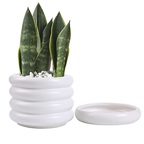 BENKARO Ceramic Flower Plant Pots for Indoor Plants with Drainage Holes, 6 inch Garden Pots Succulent Pots Planter Pots for Indoor Outdoor Plants (White)