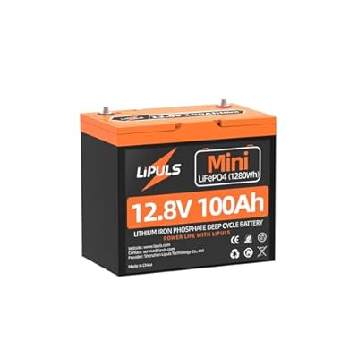 12V 100Ah Mini LiFePO4 Lithium Battery, Group 24 Lithium Battery Built-in 100A BMS, Grade A Cells, Up to 15000 Cycles, 10-Year Lifespan, Max. 1280Wh Energy for Trolling Motor, RV, Solar, Off-Grid