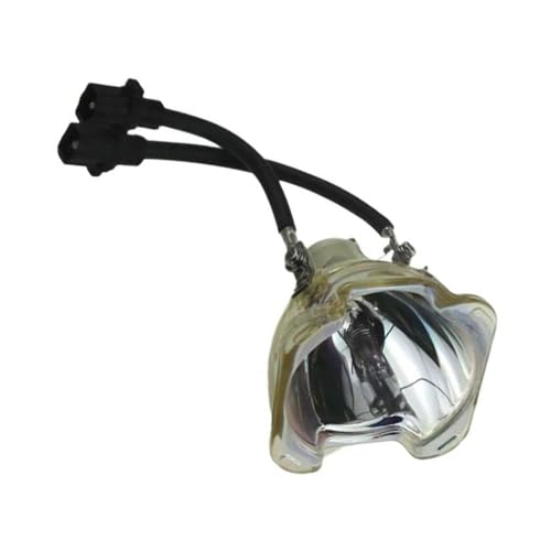 Ampoule pour projecteur Dell 310-6896 idéale en salle de réunion
