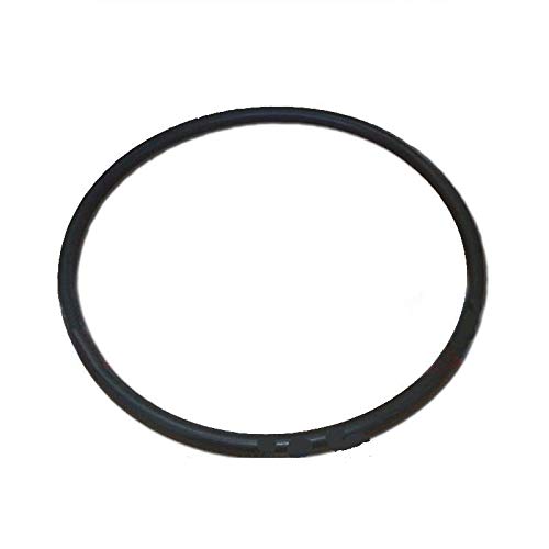 Pompa Per Piscina Astralpool Victoria Plus Silent, 11 M3/h - Foto 7