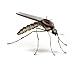 Imagen de Mata Insectos eléctrico