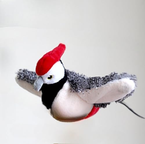 �y�b�g�p�ʂ�����݂������� �@���Ɖ����o�� �U�����钹 �X�Y���^���ߋ� �͑��H�΂����� �L�p�������� (�����L�c�c�L)