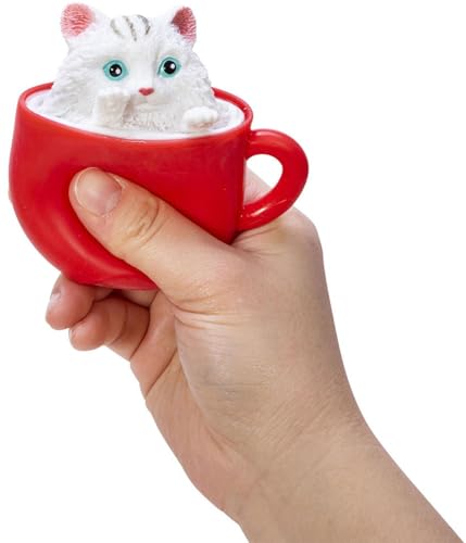 Image of SCHYLLING POP A Chino Kitties