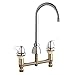 Concealed Kitchen Sink Faucet