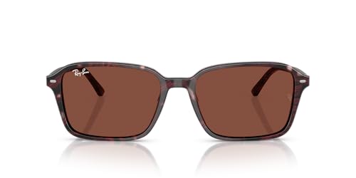 Image of Ray-Ban Sunglasses for Women & Men Raimond RB2231 Non Polarized Sunglasses | Ray-Ban Sunglasses for Men & Women - High-Bridge, Unisex Designer Sunglasses - Crystal Standard or Polarized