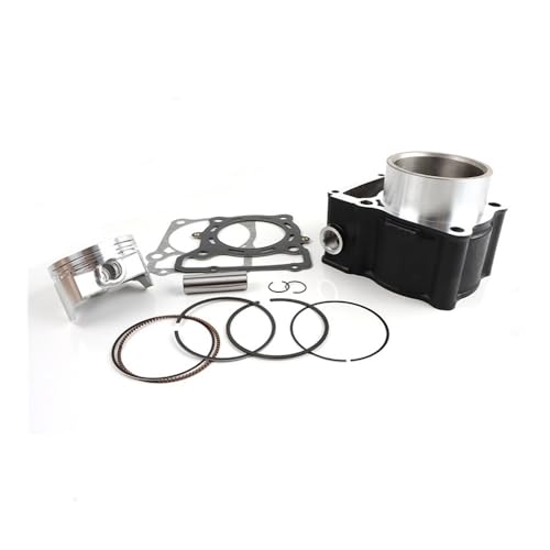 Kit cylindre-piston LX300-6D pour réparer perte compression 300DS - 8