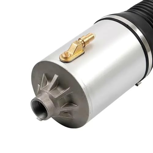 Suspensions pneumatiques avant pour Audi A8 D3 S8 Quattro 2002-2010