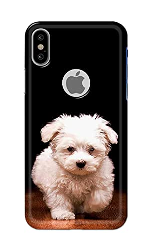 Image of PRINTFIDAA� Printed Hard Back Cover Case for Apple iPhone X | iPhone 10 | iPhone Xs | iPhone 10s Logo View Back Cover (Puppy Dog) -2808