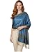 Paskmlna Border Pattern Double Layered Reversible Woven Pashmina Shawl Scarf Wrap Stole (003#24),Large