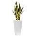 Nearly Natural 3-Ft. Sansevieria Artificial White Planter Silk Plants, Green