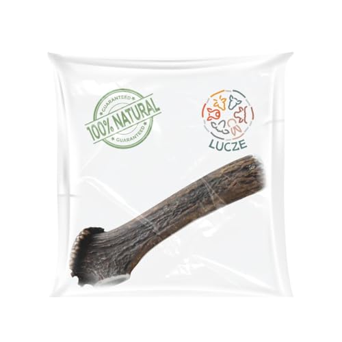 Lucze® - corna di cervo - scorri sopra l'immagine per ingrandirla - EASY XXL