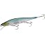 538 NC Ghost Minnow