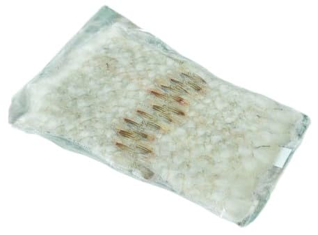 ys꒼szGr@tނL΂oiCCVi26-30ji20jxgiق@200-210gʁyⓀz347803