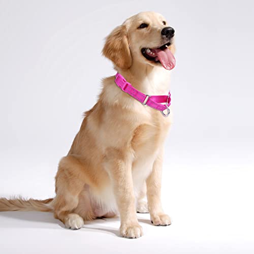 haoyueer Reflective Nylon Martingale Collar - Image 3