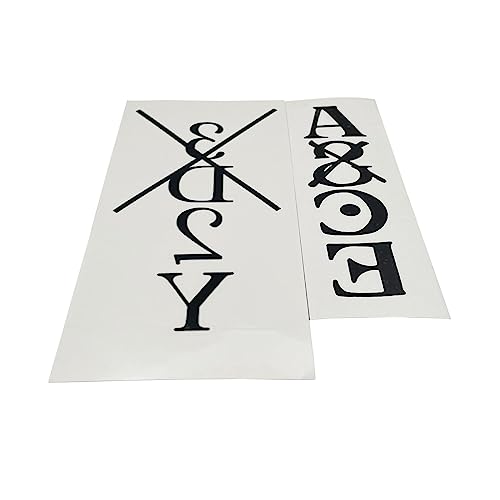 2Pcs PortgasD Ace Tattoo Anime Cosplay Animation Cartoon Logo Tatoo Waterproof Temporary Tattoo Sticker (Ace)