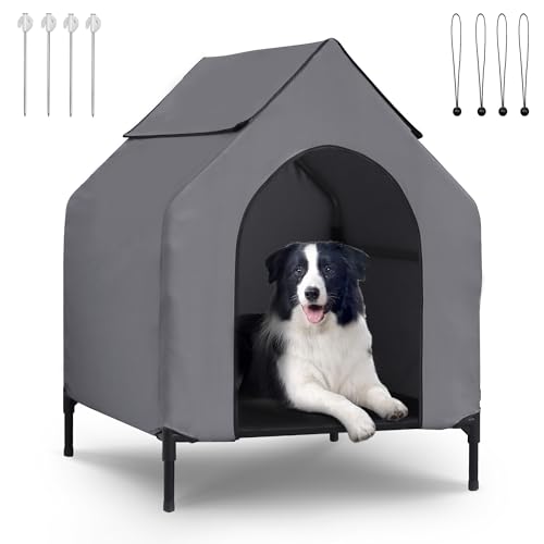 FAMIGRO 36C` hbOnEX O ^^pˌpVF^[